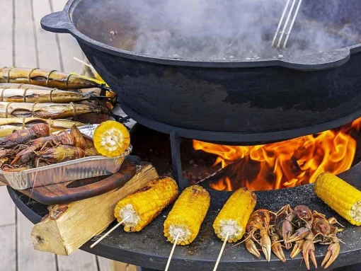 Barbecue Rond Avec Plaque D'Acier Ronde Et Grille