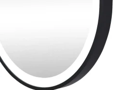 Espelho De Casa De Banho Luminoso Oval Antienvaciamento Com Contorno Preto 50X80 Cm - Alarico