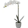 Planta Artificial Orquidea Com Vaso Em Cimento A.60 Branco - Flora