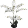 Planta Artificial Orquidea Com Vaso Em Cimento A.65 X L.54 Cm Branco - Tara