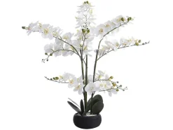 Planta Artificial Orquidea Com Vaso Em Cimento A.65 X L.54 Cm Branco - Tara