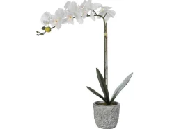 Planta Artificial Orquidea Com Vaso Em Cimento A.60 Branco - Flora