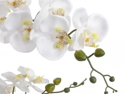 Planta Artificial Orquidea Com Vaso Em Cimento A.65 X L.54 Cm Branco - Tara