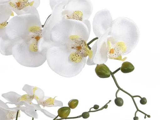 Planta Artificial Orquidea Com Vaso Em Cimento A.65 X L.54 Cm Branco - Tara