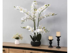 Planta Artificial Orquidea Com Vaso Em Cimento A.65 X L.54 Cm Branco - Tara