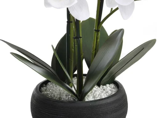 Planta Artificial Orquidea Com Vaso Em Cimento A.65 X L.54 Cm Branco - Tara